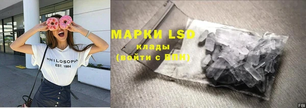 ПСИЛОЦИБИНОВЫЕ ГРИБЫ Белоозёрский
