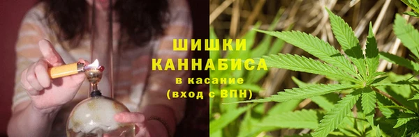 ПСИЛОЦИБИНОВЫЕ ГРИБЫ Белоозёрский