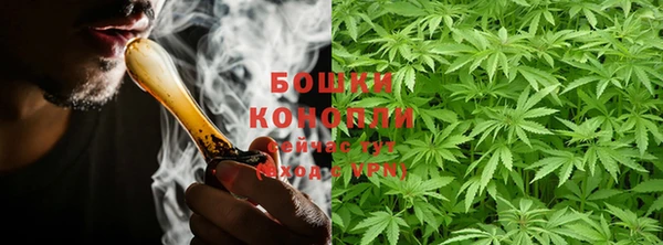 2c-b Белокуриха