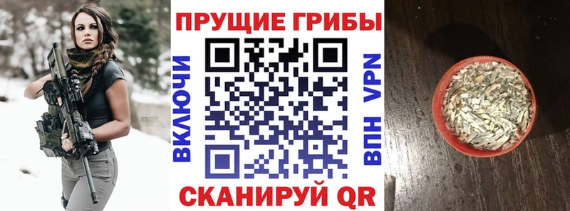 Псилоцибиновые грибы GOLDEN TEACHER Заозёрный